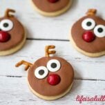 Reindeer Sugar Cookies for Christmas