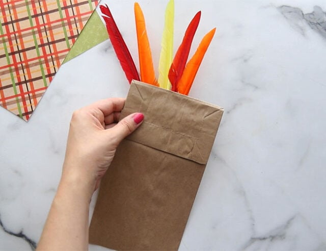 Glue feathers to back of bag