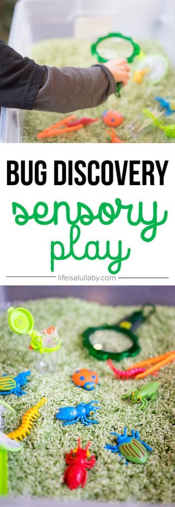 Bug Discovery Sensory Bin