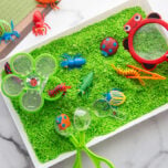 Bug Sensory Bin