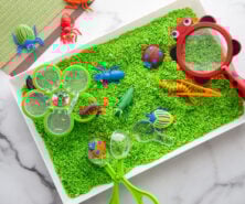 Bug Sensory Bin