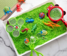 Bug Sensory Bin