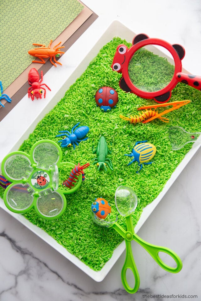 Bug Sensory Bin Ideas