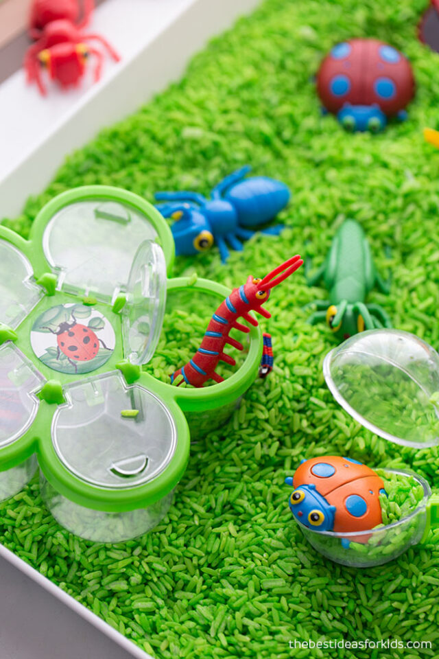 How to Make a Bug Sensory Bin