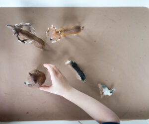 How to make play mud - a sensory activity
