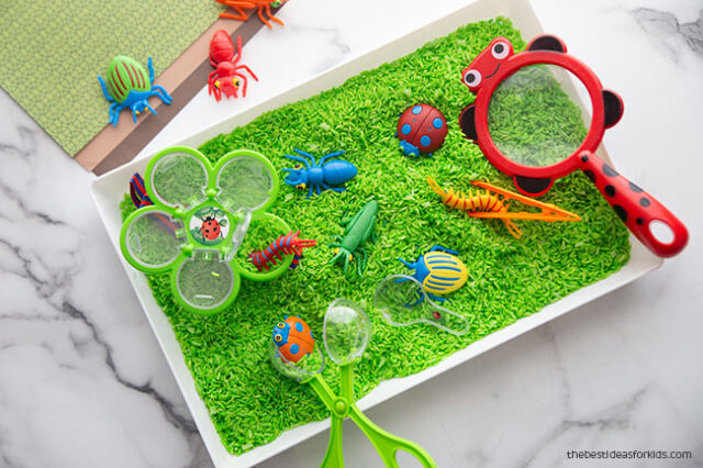 How to set up a bug sensory bin