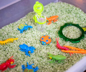 Insect Sensory Bin