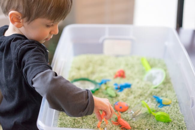 Playing with the bug sensory bin