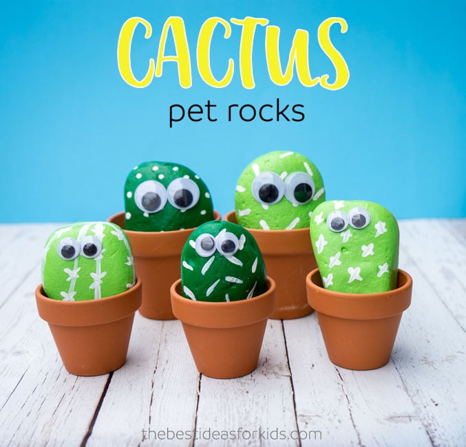 Fun Kids Craft - Pet Cactus Rocks