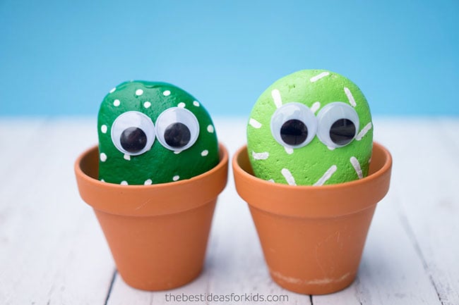 Pet rocks  Pet rocks, Rock crafts, Painted rocks diy