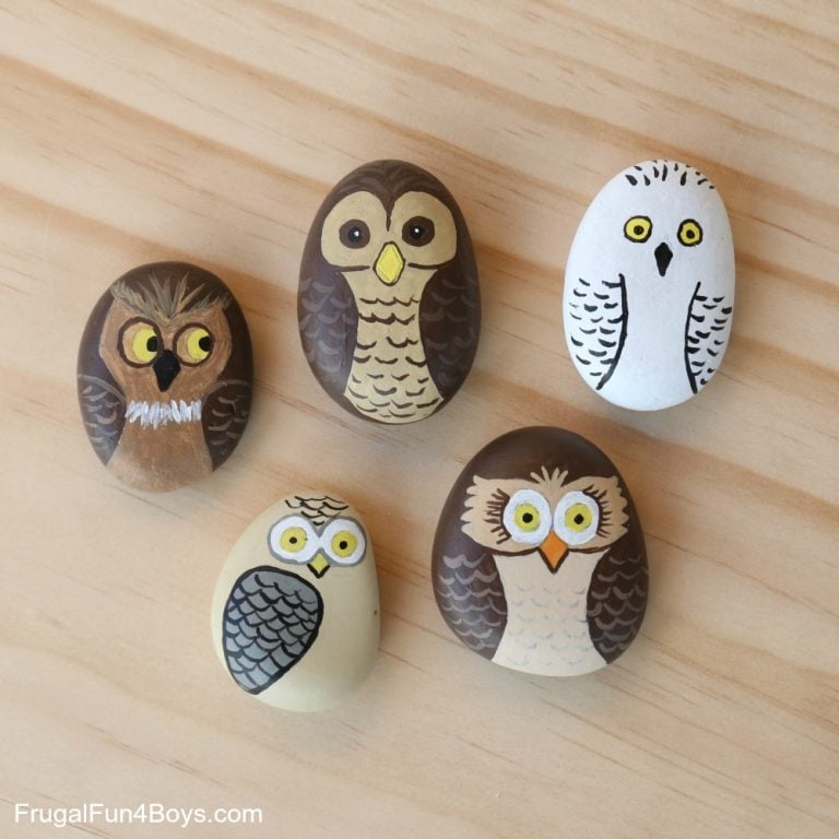 Owl Painted Rocks