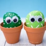 Pet Rocks DIY Cactus