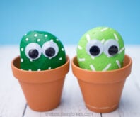 Pet Rocks DIY Cactus