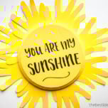 You are my sunshine craft