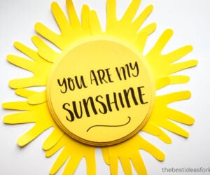 You are my sunshine craft