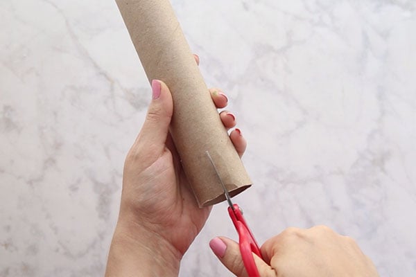 Cut Slits in Paper Towel Tube