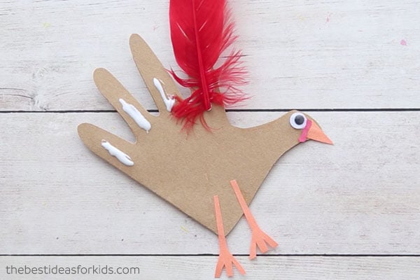 Glue on your feathers to your turkey