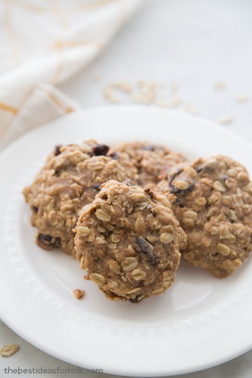 The Best Oatmeal Lactation Cookies Recipe