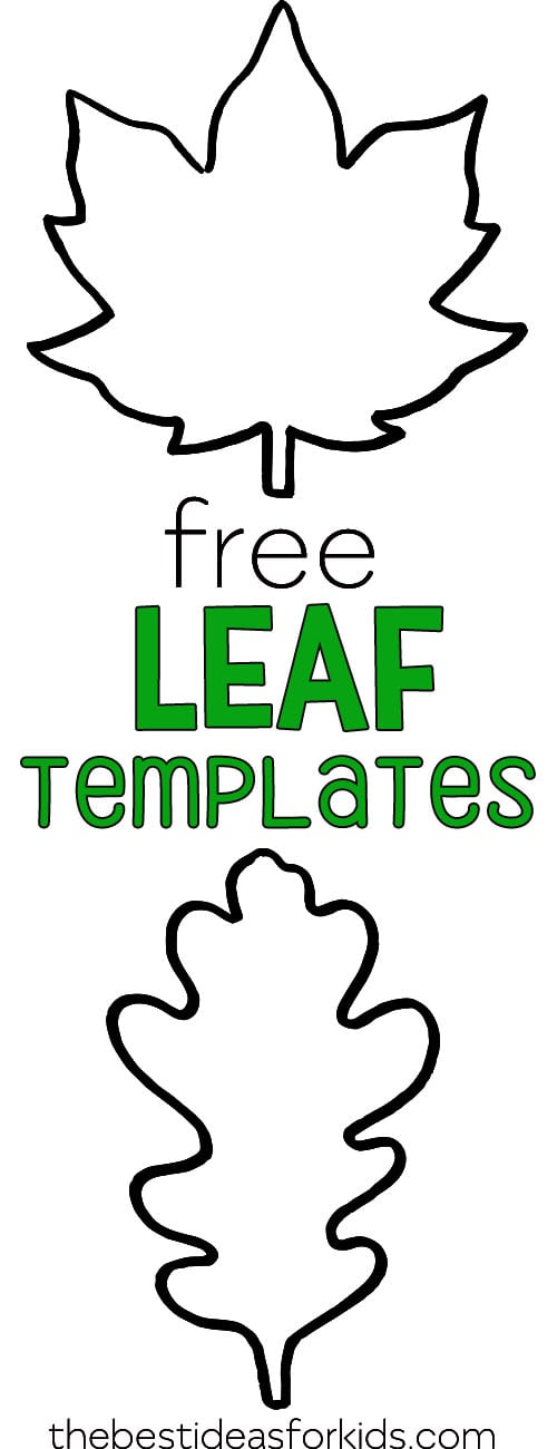 Template Of A Leaf from www.thebestideasforkids.com