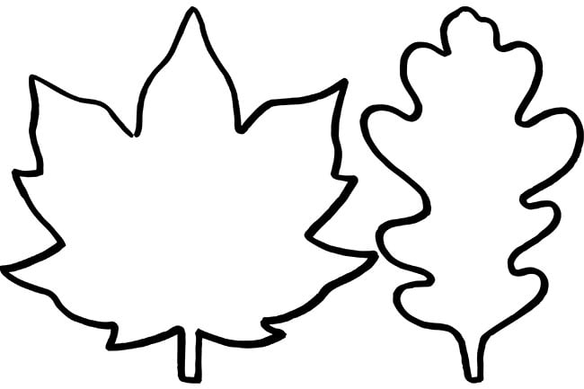 Leaf Stencils - Stencils for Kids