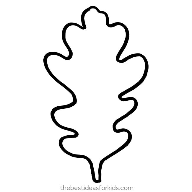 Oak Leaf Template Outline