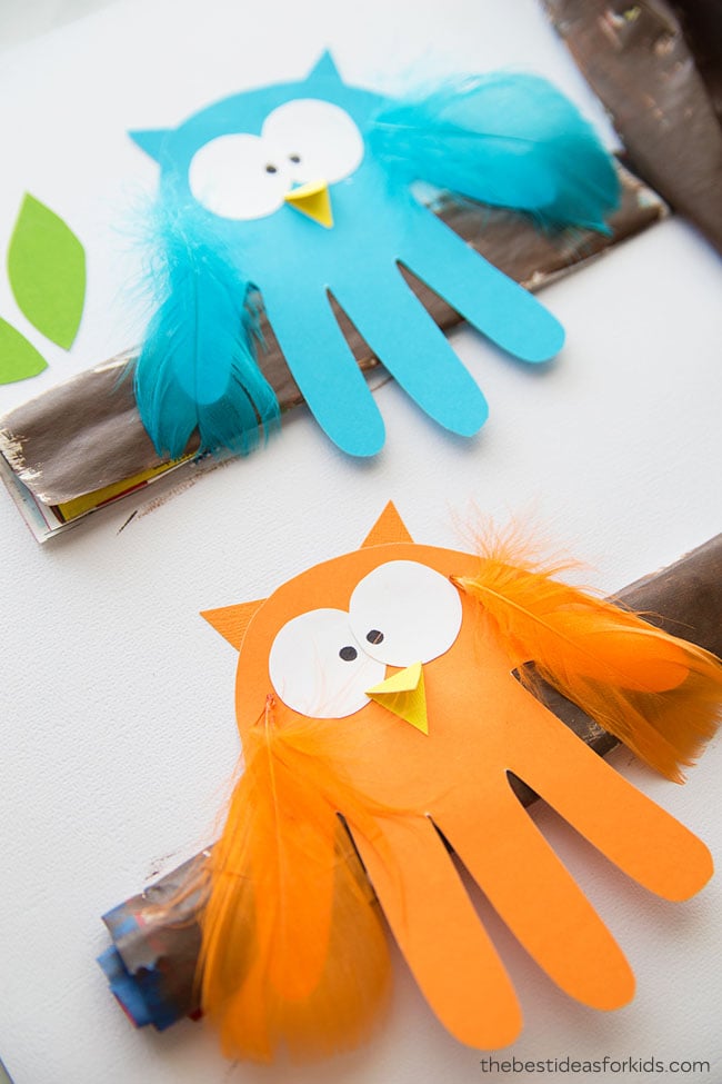 Owl Craft