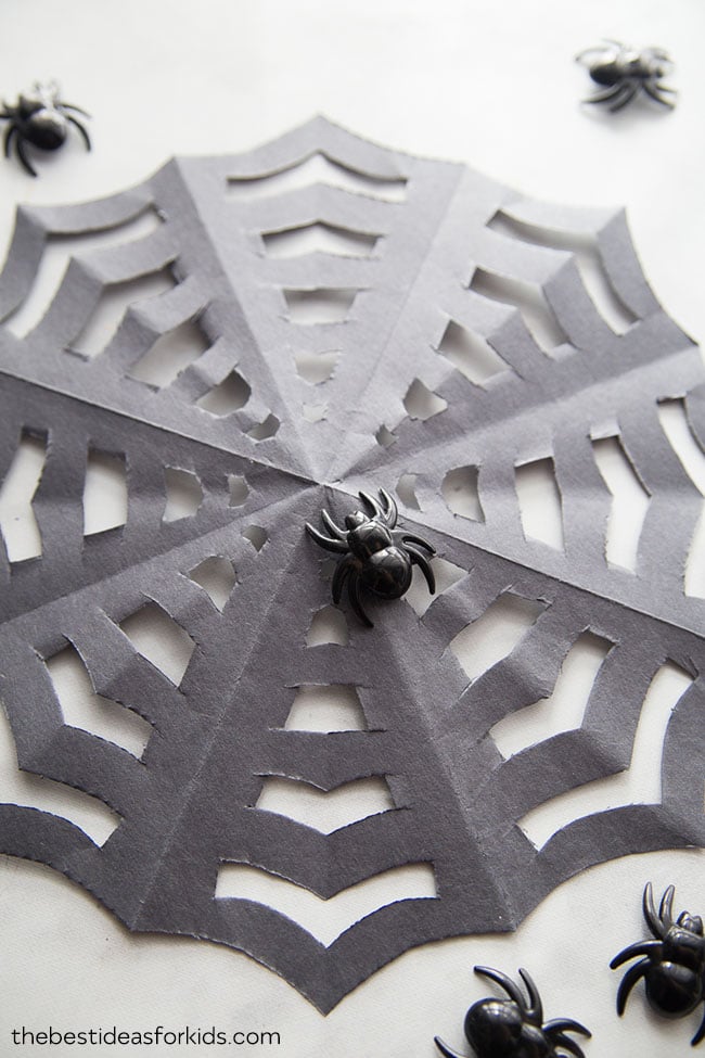 Paper Spider Web