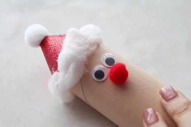 Santa Toilet Paper Roll