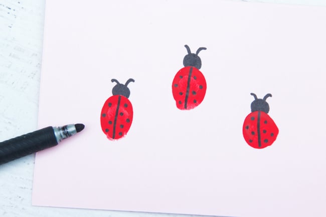 Ladybug Fingerprint Card
