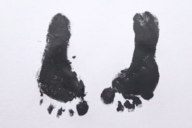 Penguin Footprint Art