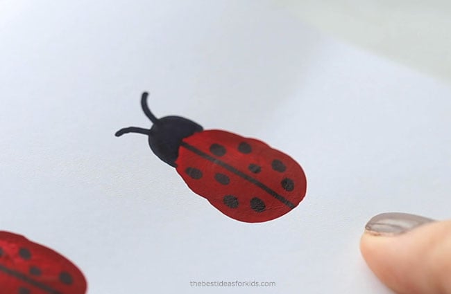 Make ladybug fingerprint card