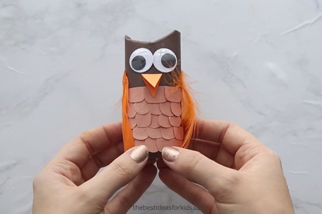 Paper Roll Owl