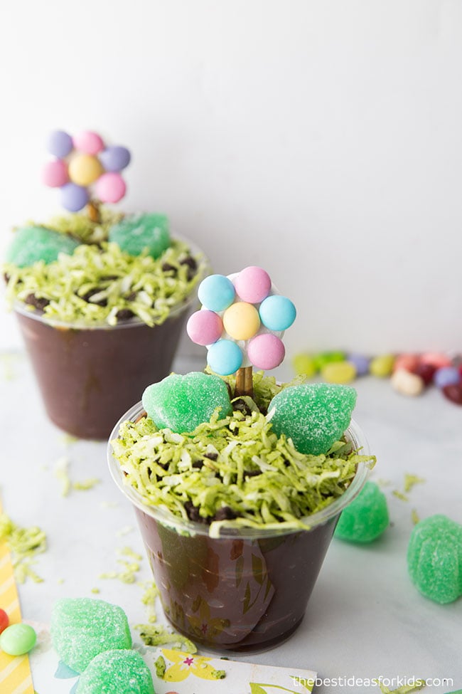 Spring Flower Pudding Cup