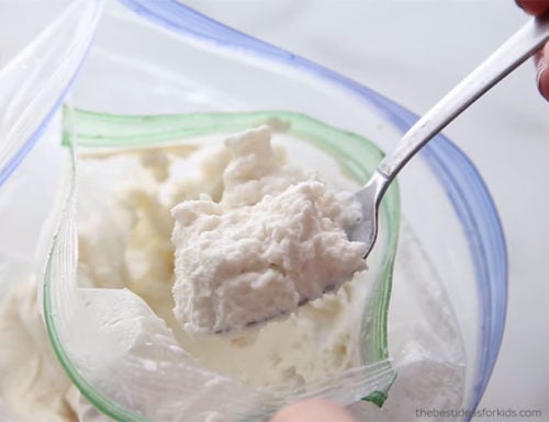 Ice Cream in a Bag Recipe
