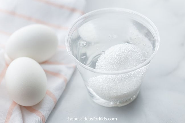 Place Eggs in Vinegar for Dying