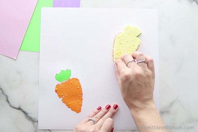 Stamp Carrot Sponge Stamp