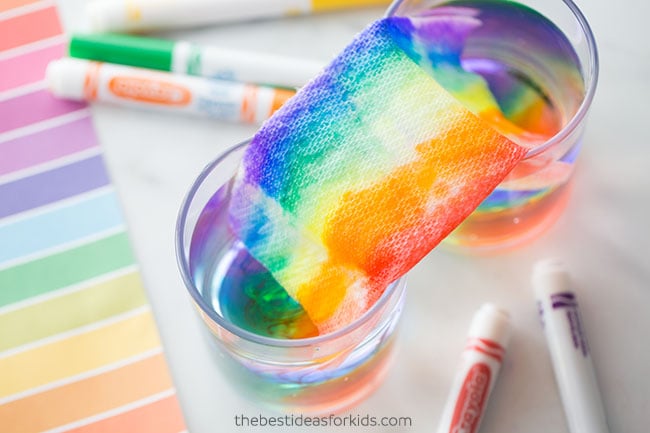 Easy Grow a Rainbow on Paper Towel Experiment