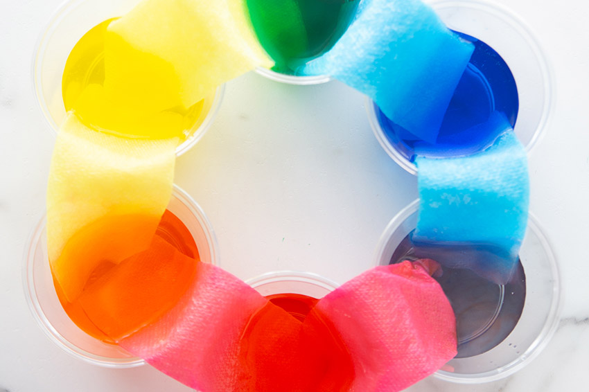 Walking Water Experiment The Best Ideas For Kids