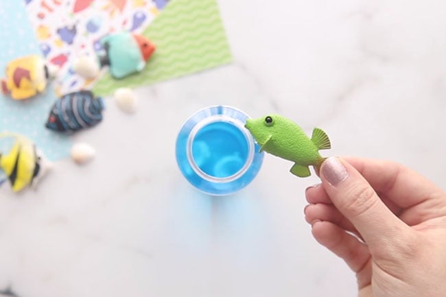 Add Fish Toys to Bottle