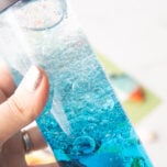 Ocean Sensory Bottle