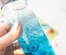 Ocean Sensory Bottle