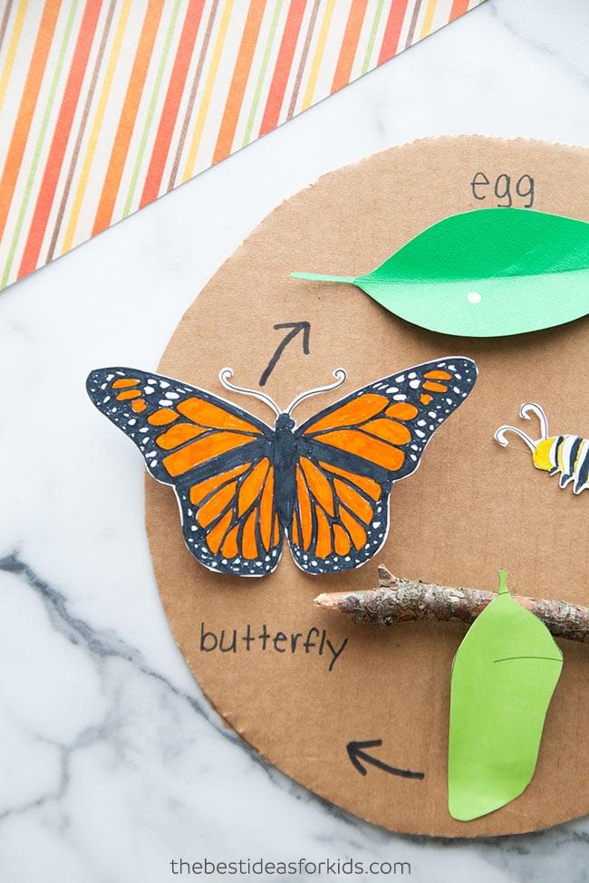 Caterpillar to Butterfly Craft 