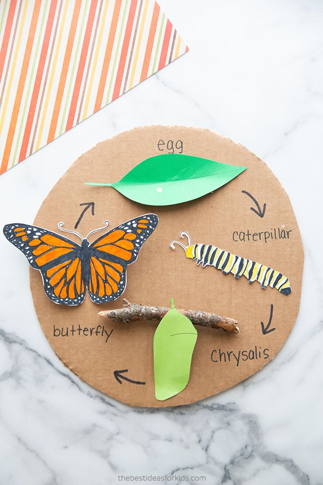 Butterfly Life Cycle Craft for Kids