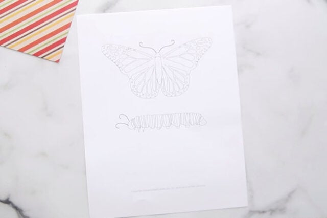 butterfly-life-cycle-craft-with-free-template-the-best-ideas-for-kids