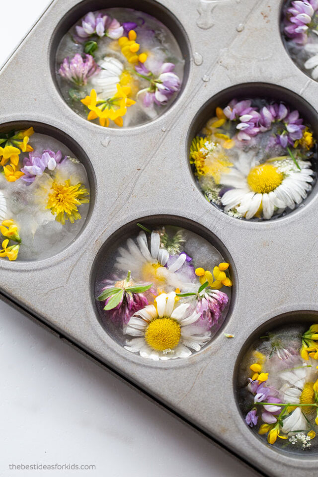 Frozen Flowers Sensory Play The Best Ideas for Kids