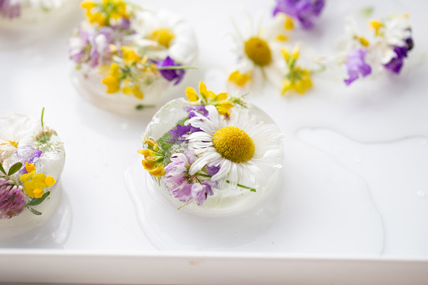 Frozen Flowers Sensory Play The Best Ideas for Kids