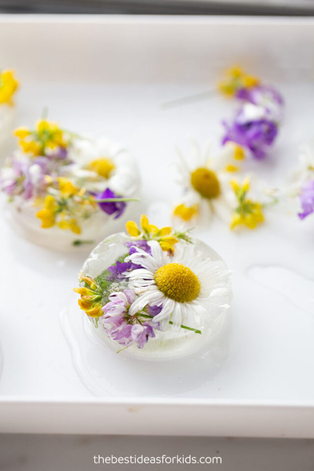 Frozen Flowers Sensory Play The Best Ideas for Kids