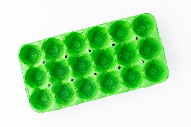 Paint Egg Carton Green