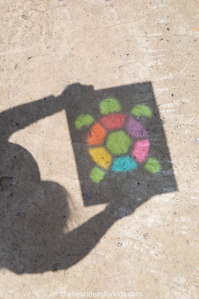 Turtle Shadow Art