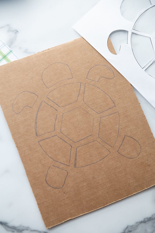 Turtle Shape on Cardboard